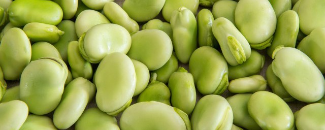 蚕豆保鲜及储存方法 新鲜蚕豆如何保鲜储存的