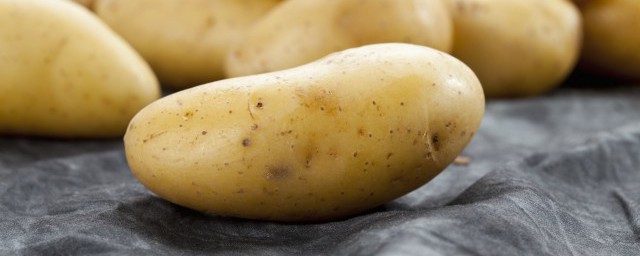 种土豆哪时候最合适呢 种土豆的最佳时间