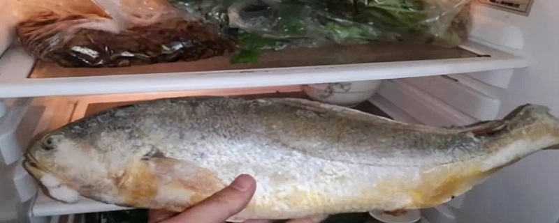 杀了的鱼放冰箱保鲜可以放多久