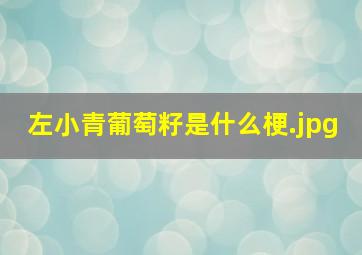 左小青葡萄籽是什么梗（左小青漏葡萄是哪一集?）