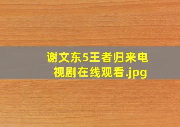 谢文东5王者归来电视剧在线观看（谢文东电视剧一共几部）