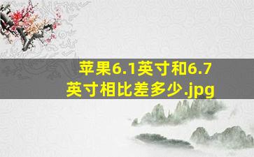 苹果6.1英寸和6.7英寸相比差多少