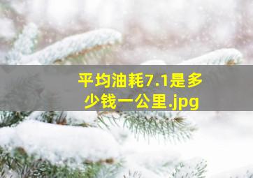 平均油耗7.1是多少钱一公里（平均油耗8.9是多少钱一公里）