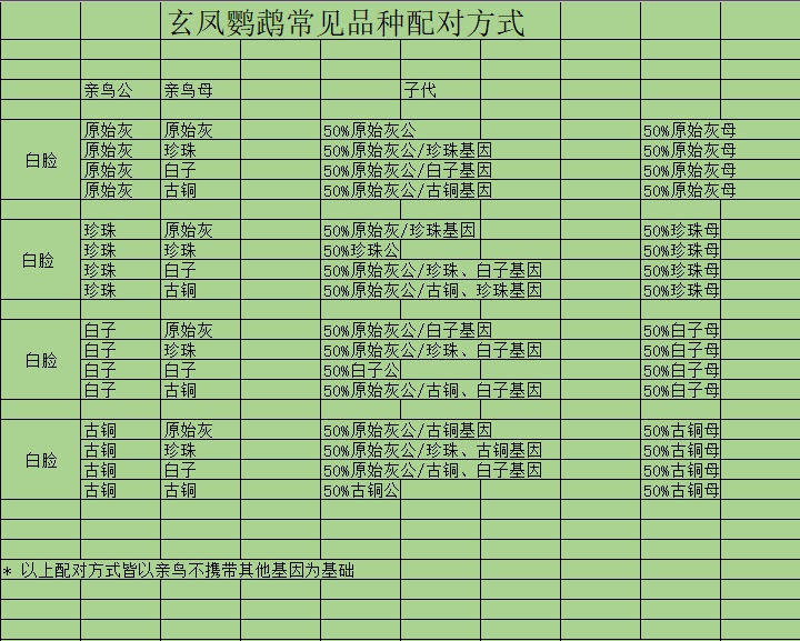 玄凤鹦鹉配对花色表(玄凤鹦鹉快速配对技巧)