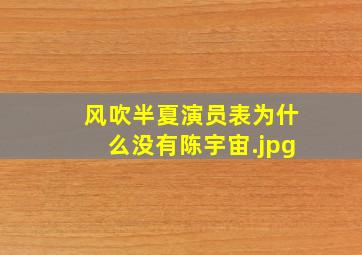 风吹半夏演员表为什么没有陈宇宙（陈宇宙什么时候下线）