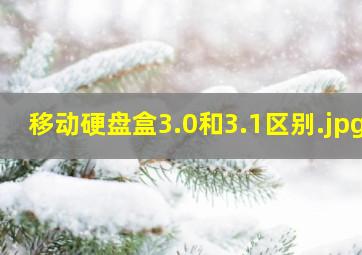 移动硬盘盒3.0和3.1区别