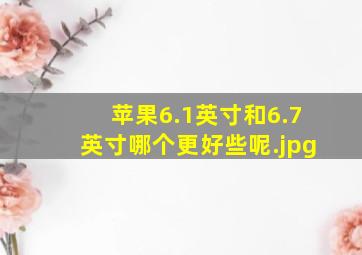 苹果6.1英寸和6.7英寸哪个更好些呢（6.1寸和6.7寸哪个可以多用两年）