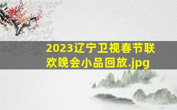 2023辽宁卫视春节联欢晚会小品回放（辽宁卫视2023年跨年晚会节目单）