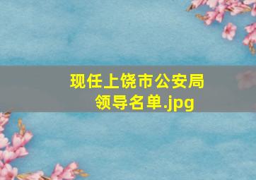 现任上饶市公安局领导名单（江西九江公安局长是谁）