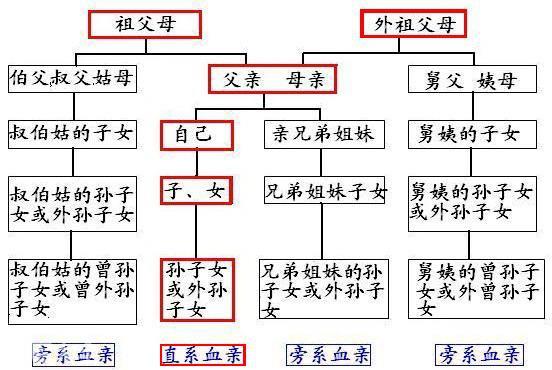 直系和旁系怎么区分「记得收藏」