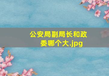 公安局副局长和政委哪个大公安局政委能管副局长吗