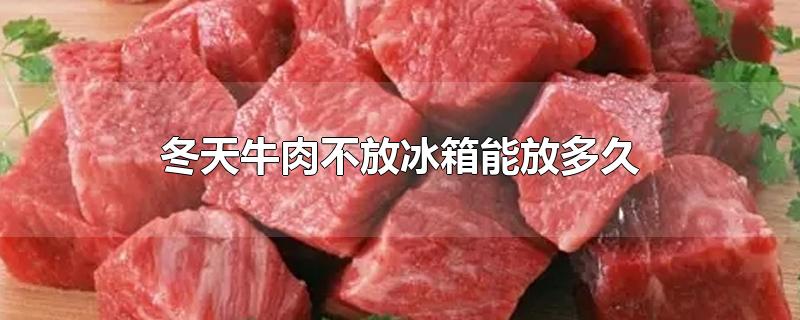 冬天牛肉不放冰箱能放多久