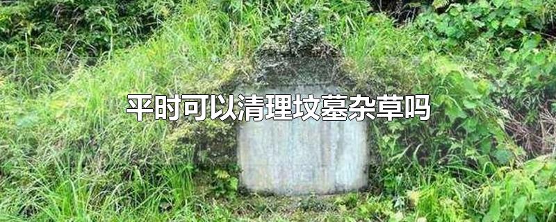 平时可以清理坟墓杂草吗