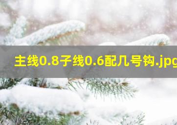 主线0.8子线0.6配几号钩钓鲫鱼要用几号钩，几号子线和主线？