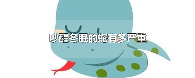 吵醒冬眠的蛇有多严重