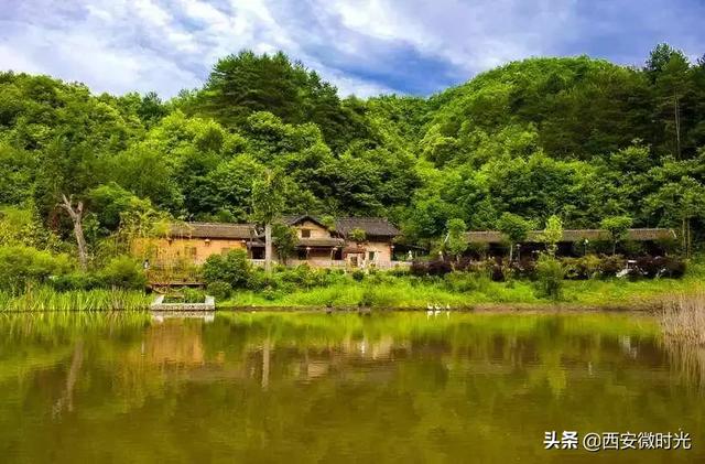 周末去哪看油菜花陕西（骑马赏花觅美食）