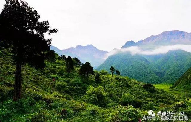 成都周边旅游景点攻略最新（成都周边8个旅游胜地）