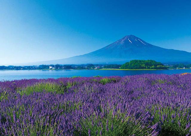 富士山旅游景点介绍（富士山10大最佳观赏景点大公开）