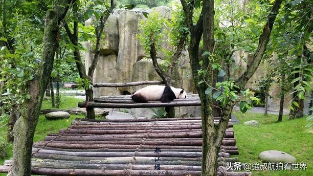 九寨沟旅行的攻略图文并茂（九寨归来不见水）