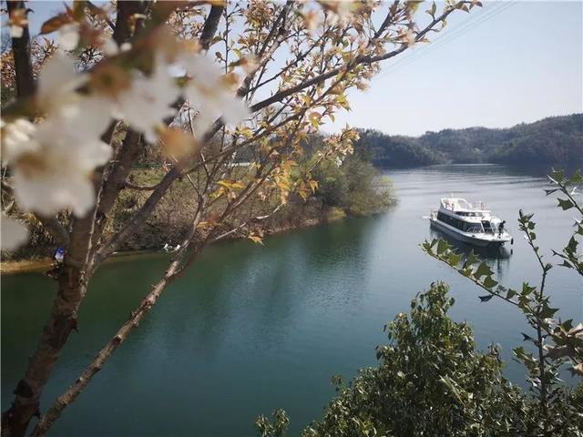 金寨旅游景点大全免费预约（旅游五一来金寨）