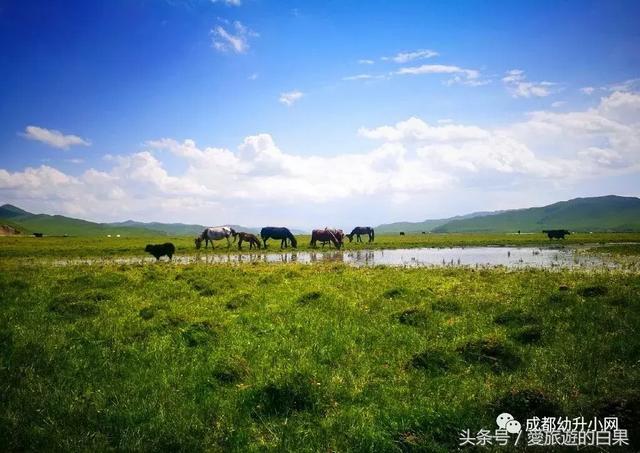 成都周边旅游景点攻略最新（成都周边8个旅游胜地）