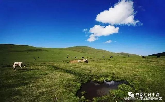 成都周边旅游景点攻略最新（成都周边8个旅游胜地）