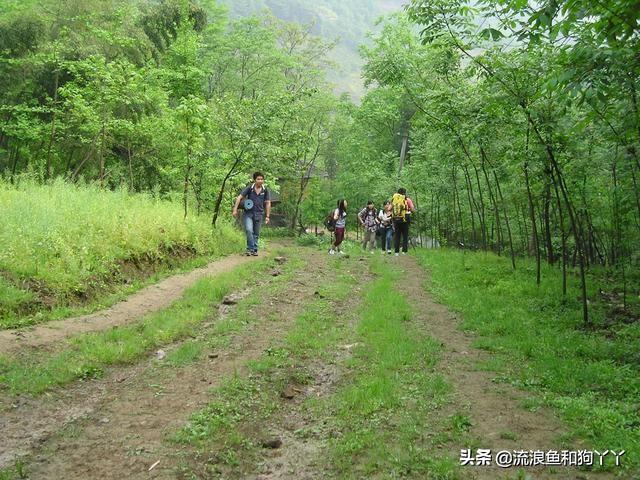 都江堰青城山自驾攻略（成都出发爬山露营）