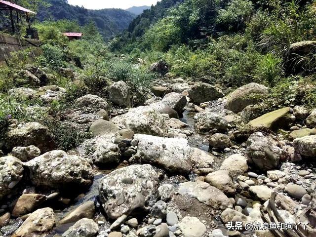 都江堰青城山自驾攻略（成都出发爬山露营）