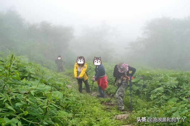 都江堰青城山自驾攻略（成都出发爬山露营）