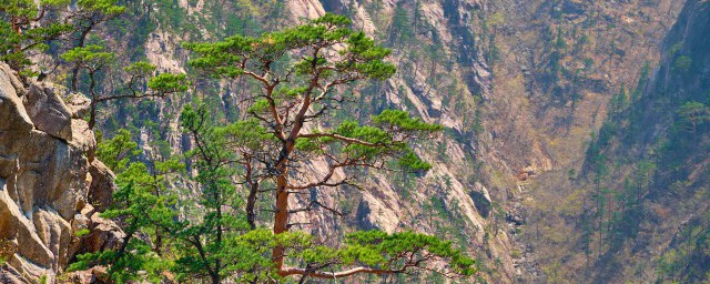 陇南有哪些著名旅游景点 陇南有什么著名旅游景点