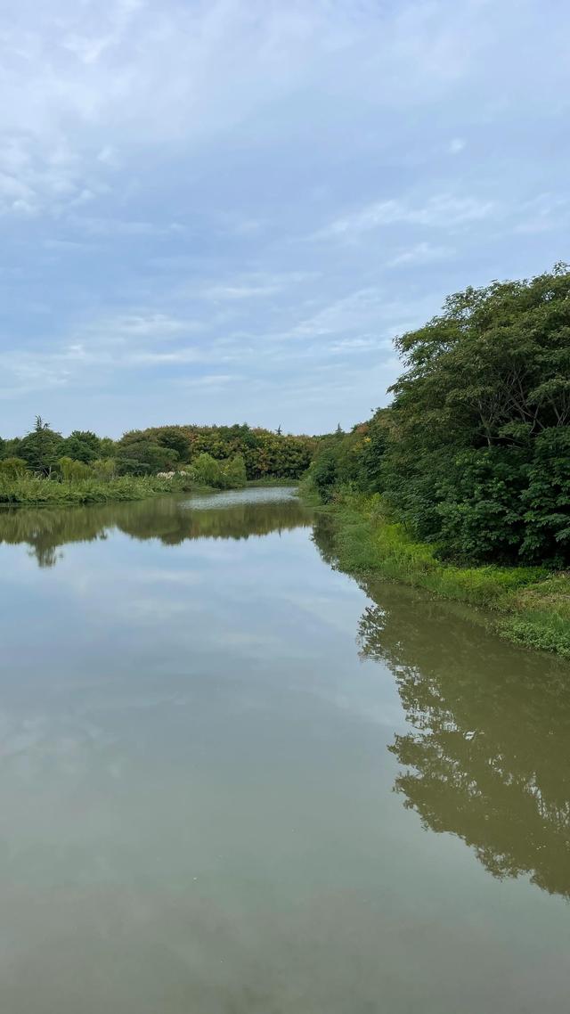 上海青岛往返1400公里全程无高速沿途城市蜻蜓点水游（上海青岛往返1400公里全程无高速沿途城市蜻蜓点水游）