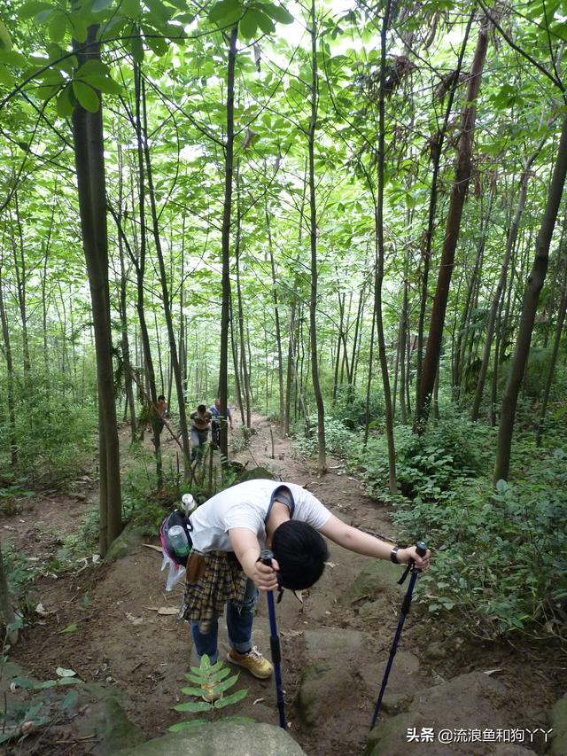 都江堰青城山自驾攻略（成都出发爬山露营）