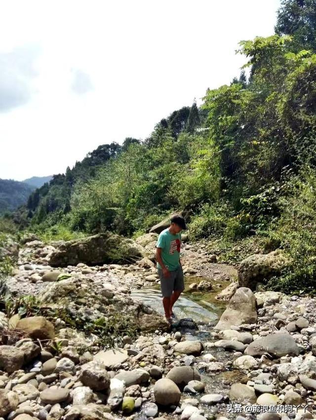 都江堰青城山自驾攻略（成都出发爬山露营）