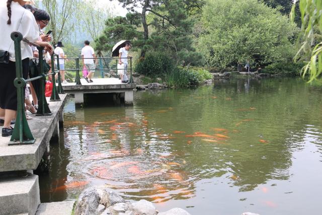 浙江杭州西湖旅游景点大全（浙江旅游西湖这些景点一定看看）