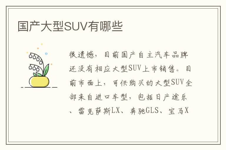 国产大型SUV有哪些