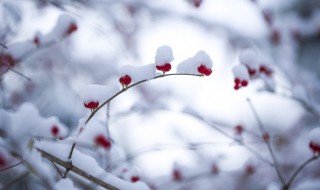 冬天雪后怎么启动车辆