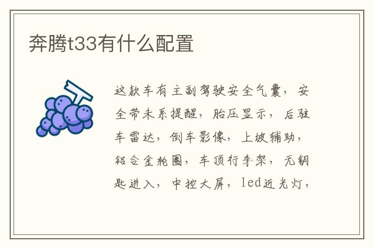 奔腾t33有什么配置