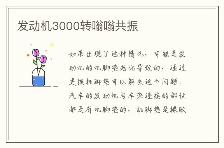 发动机3000转嗡嗡共振