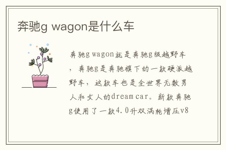 wagon是什么车 奔驰g