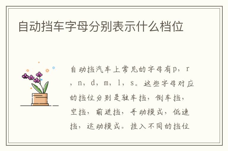 自动挡车字母分别表示什么档位