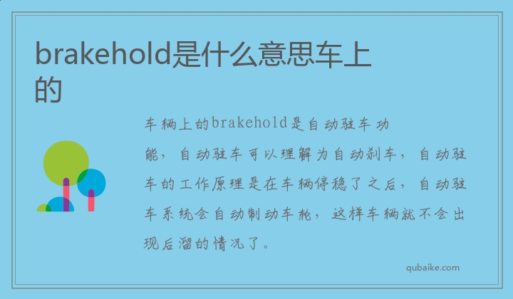 brakehold是什么意思车上的