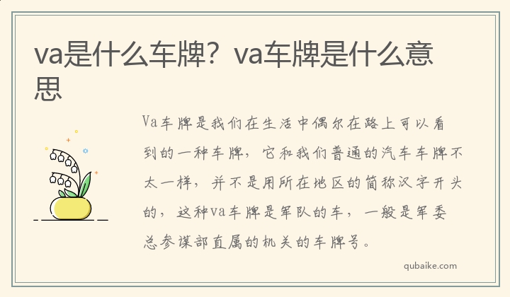 va是什么车牌？va车牌是什么意思