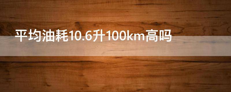 平均油耗10.6升100km高吗