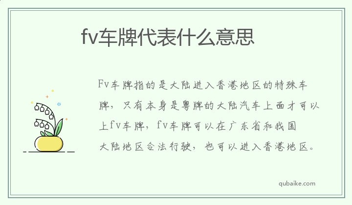 fv车牌代表什么意思