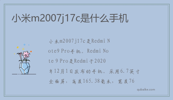 小米m2007j17c是什么手机