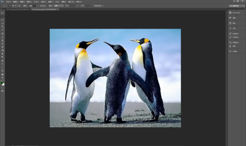 Photoshop CS6如何减少图片杂色 减少图片杂色的方法