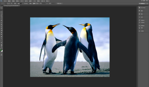 CS6如何减少图片杂色 减少图片杂色的方法 Photoshop