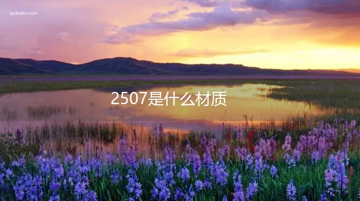 2507是什么材质