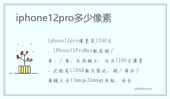 iphone12pro多少像素