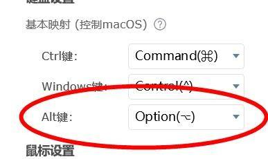 ToDesk如何配置Alt键 ToDesk配置Alt键的方法